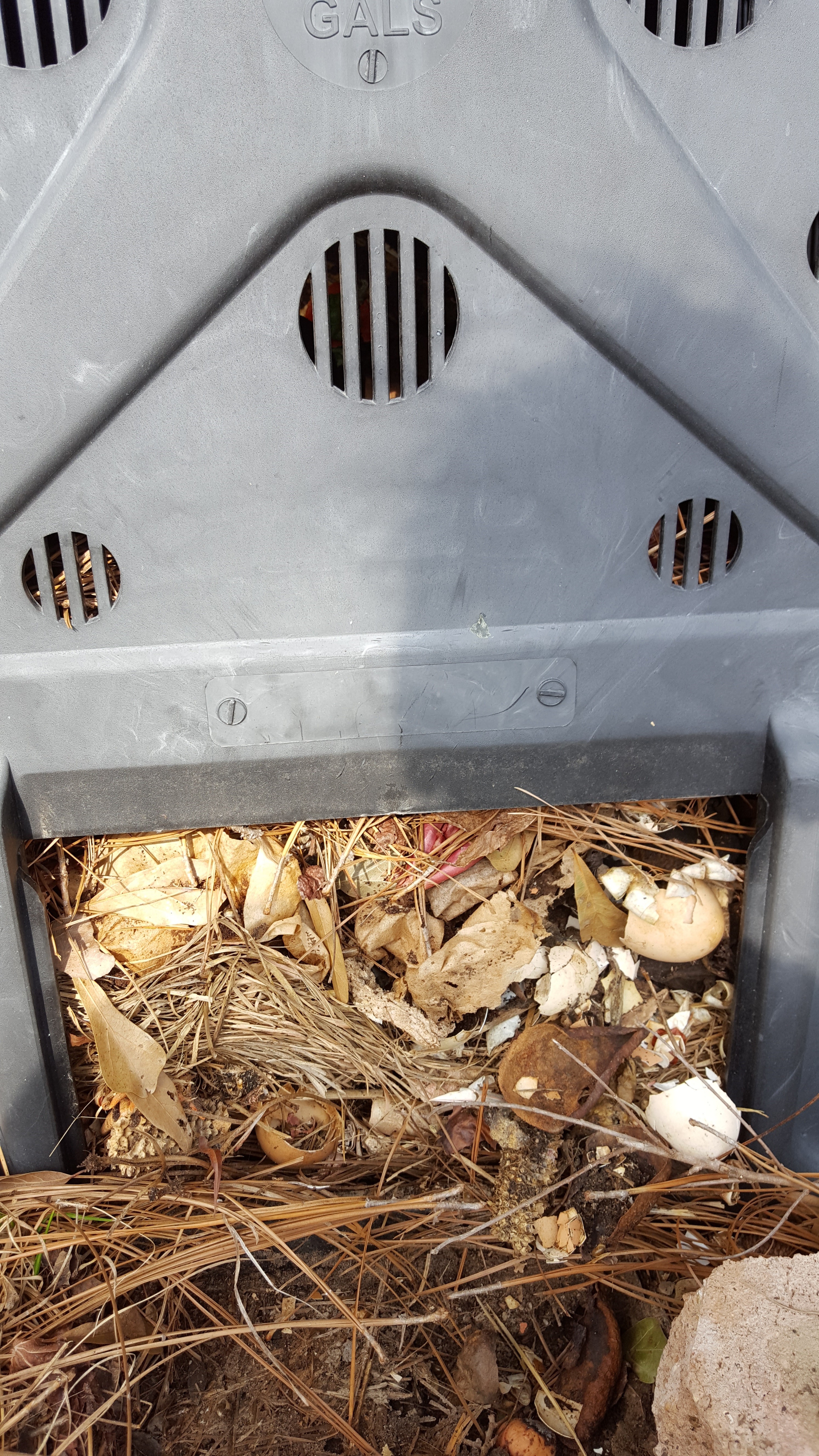Roots, Shoots, Fruits & Flowers: Composting Problem, Freeze-Damaged Plants, Cold Hardiness Zone & Pantry Pests
